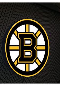 Boston Bruins Logo Led Illuminated Sign Wall Light! (round)